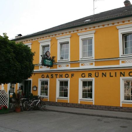Gasthof Gruenling Wallsee Extérieur photo